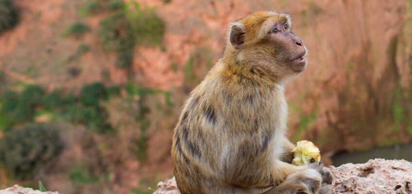 8-Day Tour - Fes and its Surrounding Nature