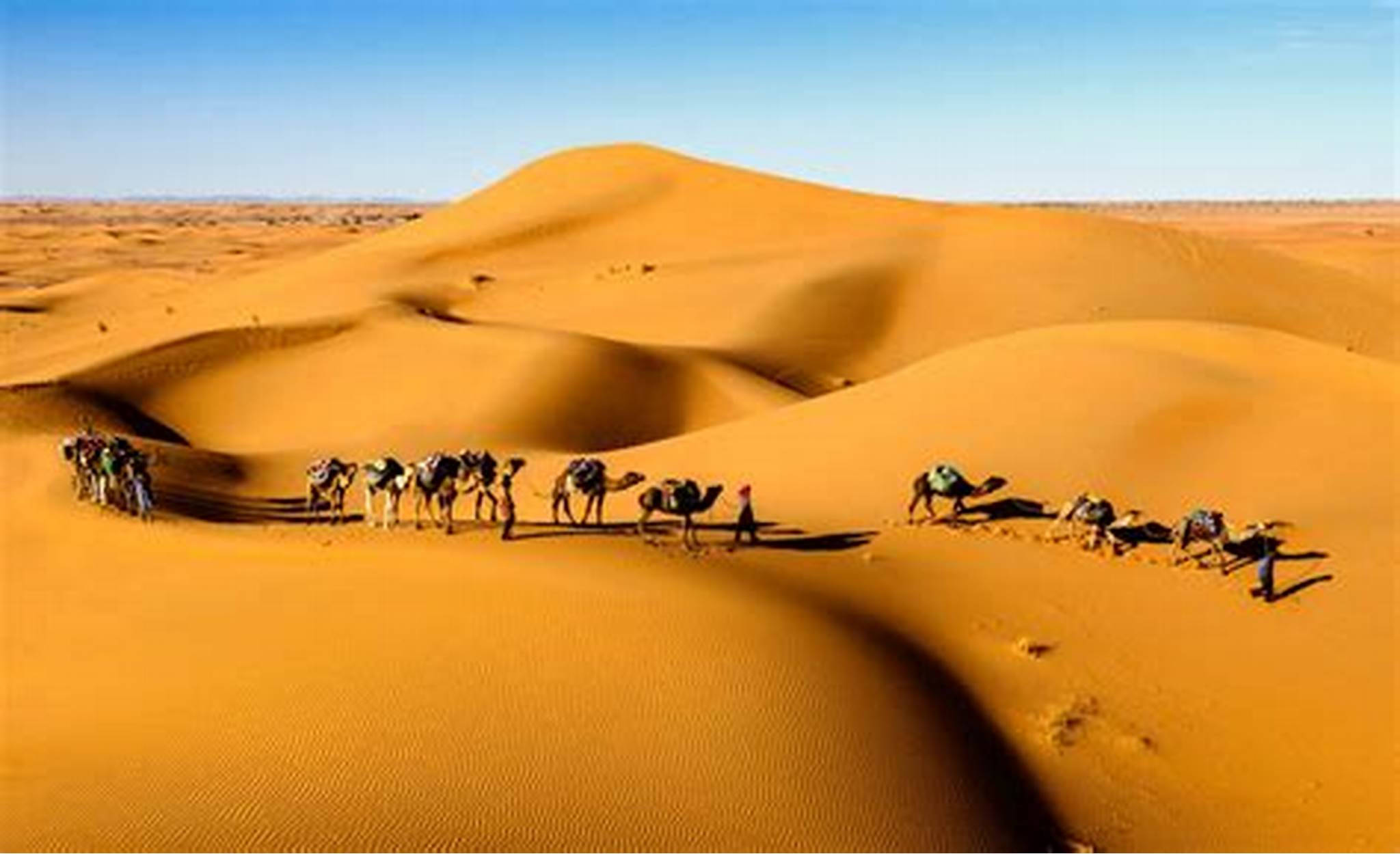 Sahara Desert Adventure: A Night Under the Stars