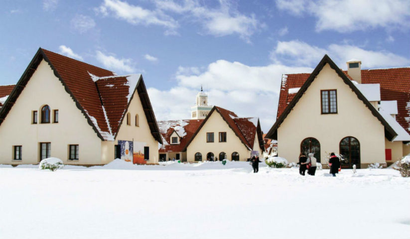 gallery image 12