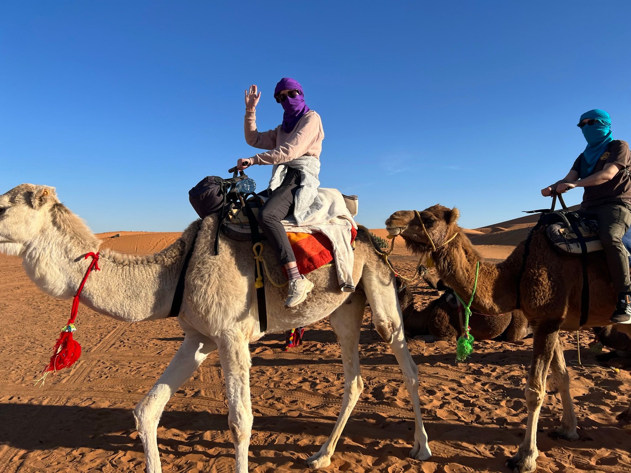 Sahara's Golden Sands Adventure